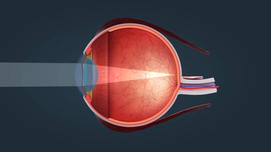 医学眼睛眼球视网膜巩膜成像眼睛色觉缺陷视频素材模板下载