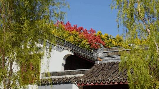 古建筑屋檐绿植园林景观