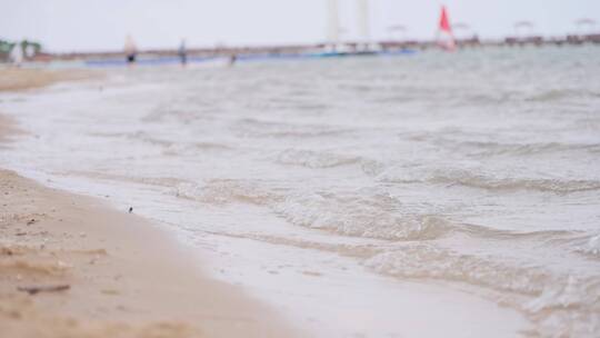 海边游玩的人们上海碧海金沙帆船冲浪