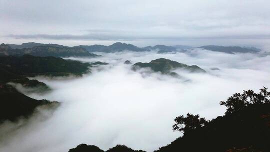 河南济源王屋山云海风光延时