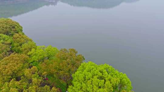 武汉东湖风景区夏季风光