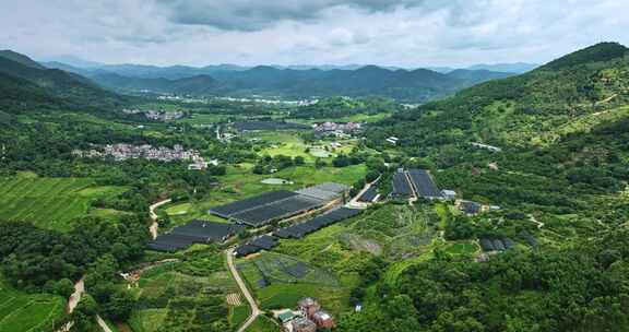 【正版素材】云浮市南药种植基地