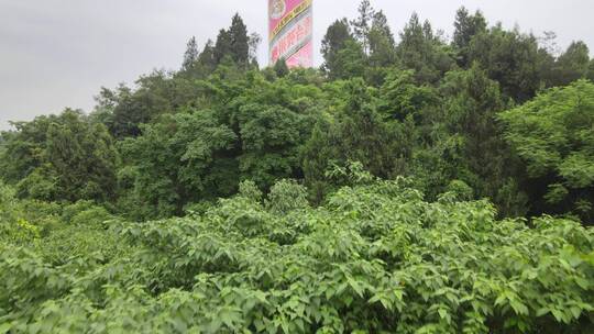 茅台镇 贵州 贵州省 茅台 国酒 国酒门