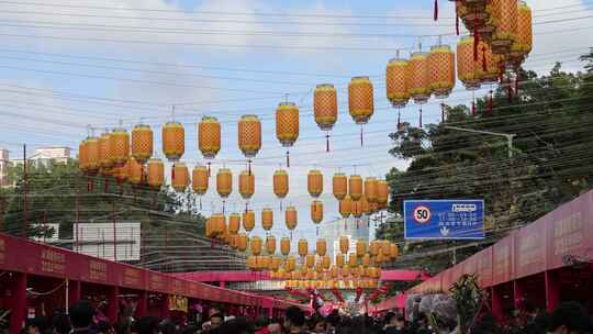 深圳2024迎春花市爱国路花市