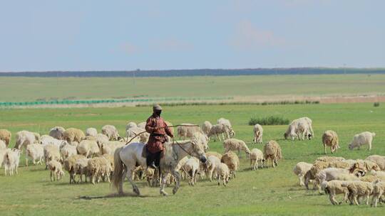呼伦贝尔草原上的牧羊人
