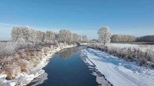 大兴安岭初冬湿地河流雪松美景