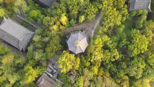 航拍古建筑树林夏天自然风景