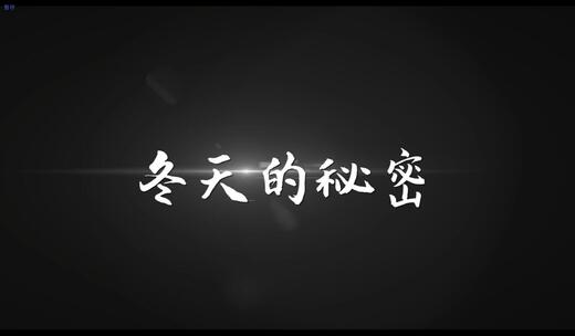 《冬天的秘密》AE歌词模板