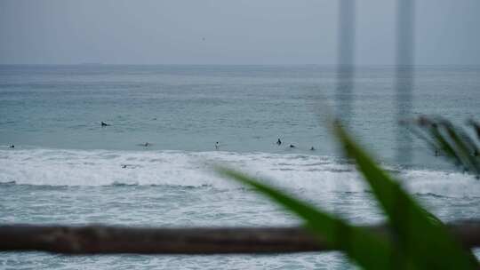 游泳，海洋，海，度假村