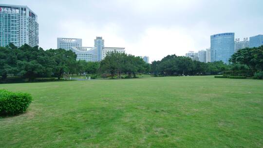 城市广场公园树林绿地草地草坪