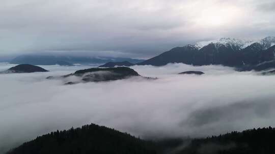 山顶云海翻滚雪山山脊森林云雾翻滚视频素材模板下载