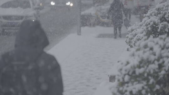 雪景 冬天雪景 大雪纷飞