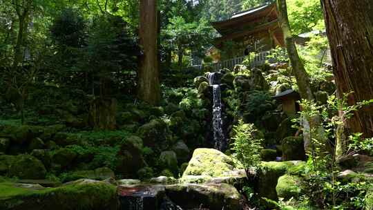 男性游客在日本美丽郁郁葱葱的寺庙风景中散