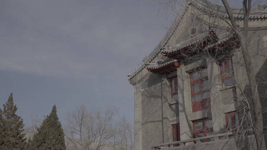 北京大学-校园视频素材模板下载