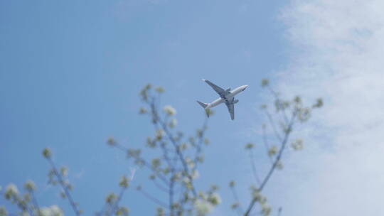春天，飞机从蓝天上掠过