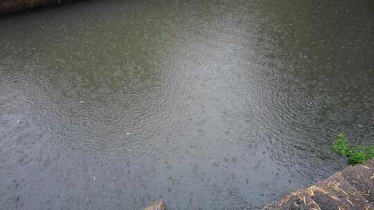 城市下雨素材雨水雨滴实拍