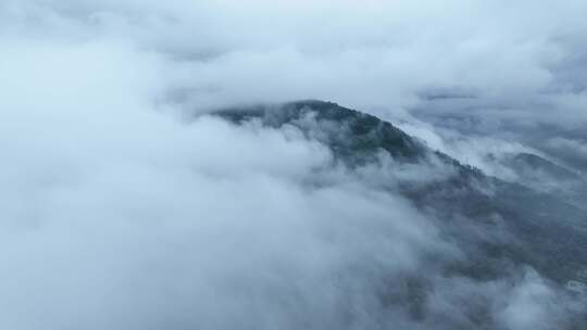 云雾大山