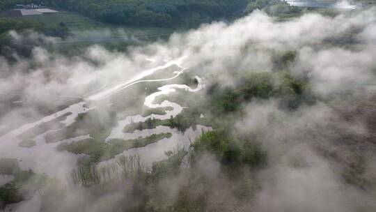 4K超清绿水青山湿地生态神农架大九湖