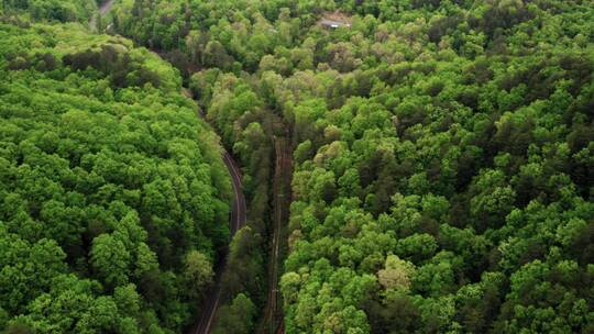 无人机拍摄森林
