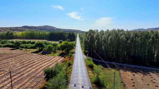 走好乡村振兴路