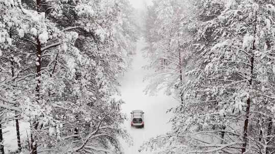 特写雾凇过后的森林大学覆盖白雪