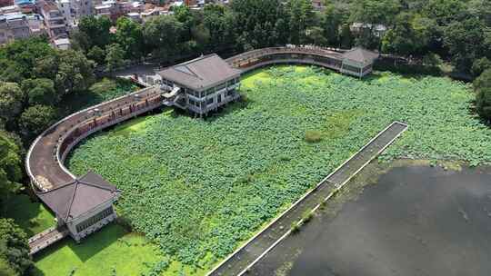 广州新荔湾湖公园航拍