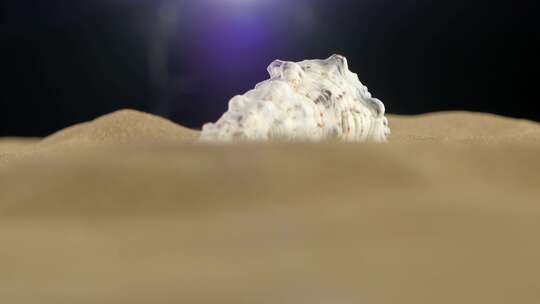 沙子上海螺的特写镜头视频素材模板下载
