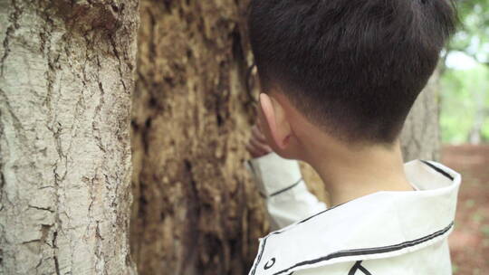 小男孩拿着放大镜观察树木