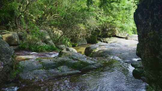 清澈纯净小溪流水泉水小河流域