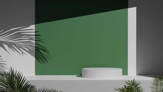 产品展示讲台背景。绿色白色背景植物树叶运