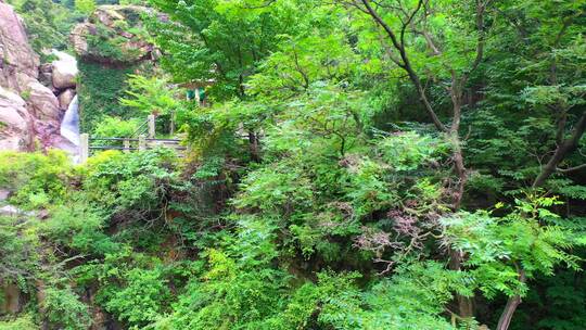 青岛-崂山-山林-北九水-山泉水航拍