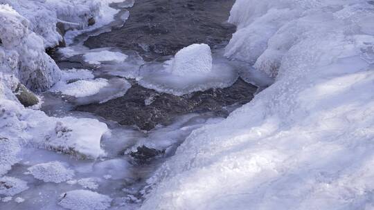 阿勒泰桦林公园雪景