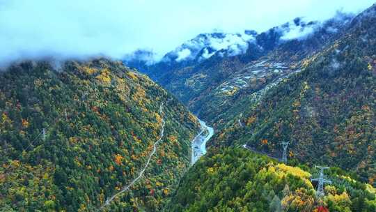 山林间的公路及周边多彩树木景色