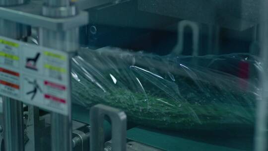 4K黄瓜加工蔬菜工厂包装流水线工作