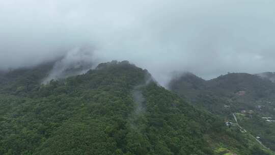 泰国普吉岛雨后的山和雾