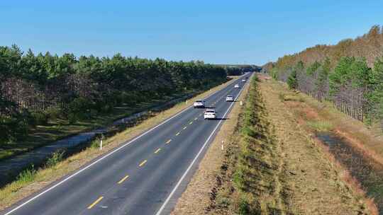 穿过树林与稻田的公路航拍