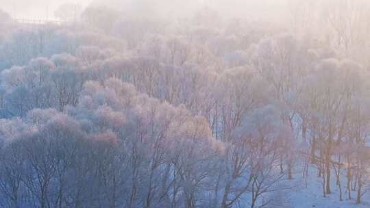 东北冬季雾凇树挂洁白唯美雪景航拍