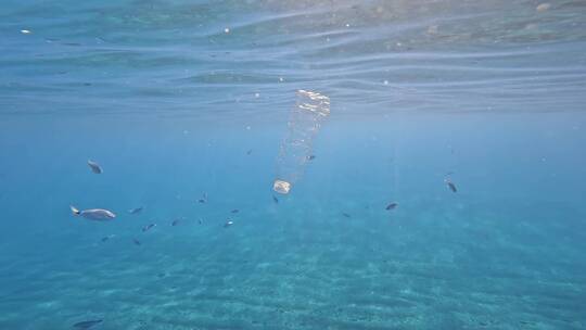 海洋垃圾漂浮