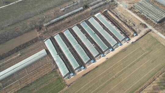 农田蔬菜大棚航拍全景