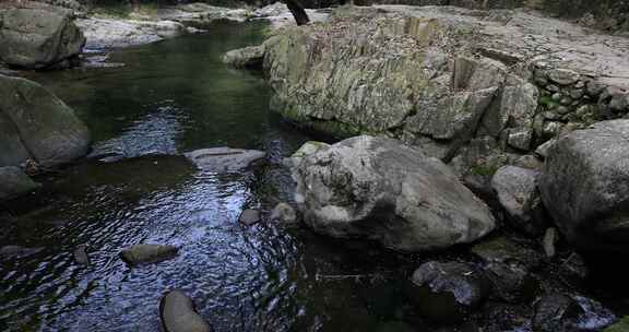 阳光溪流山涧密林原始生态风光