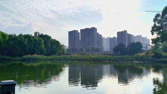 秋天的北京城市公园风光