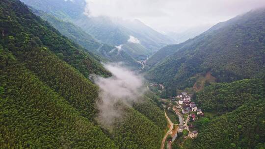 大山山脉峡谷云雾蒸气前进贴着树梢上升