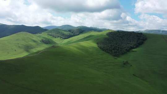 航拍草原风景