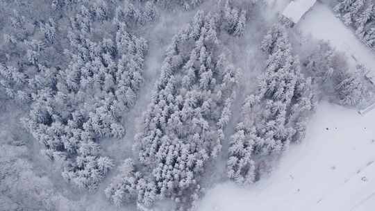 长白山航拍雪景4k