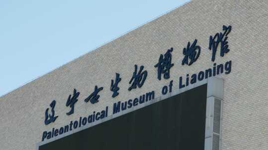 辽宁古生物博物馆视频素材模板下载