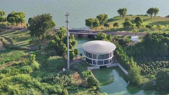 苏州漕湖湿地公园夏季美景（航拍素材）