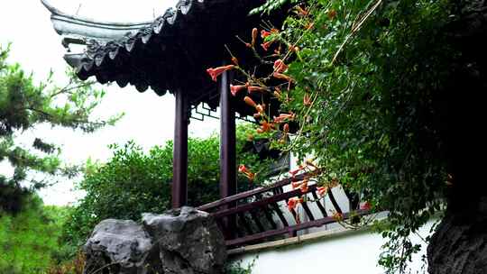 雨天南京夫子庙瞻园庭院屋檐雨滴和雨水