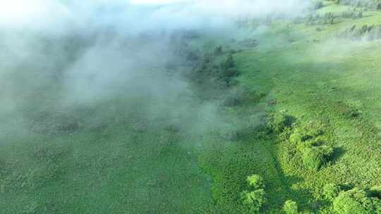 航拍云雾缭绕的绿色山脉