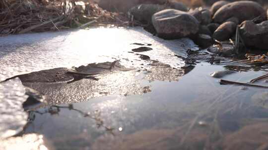 水边石头枯草处的碎冰景象