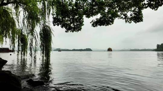 湖畔垂柳湖水游船风景